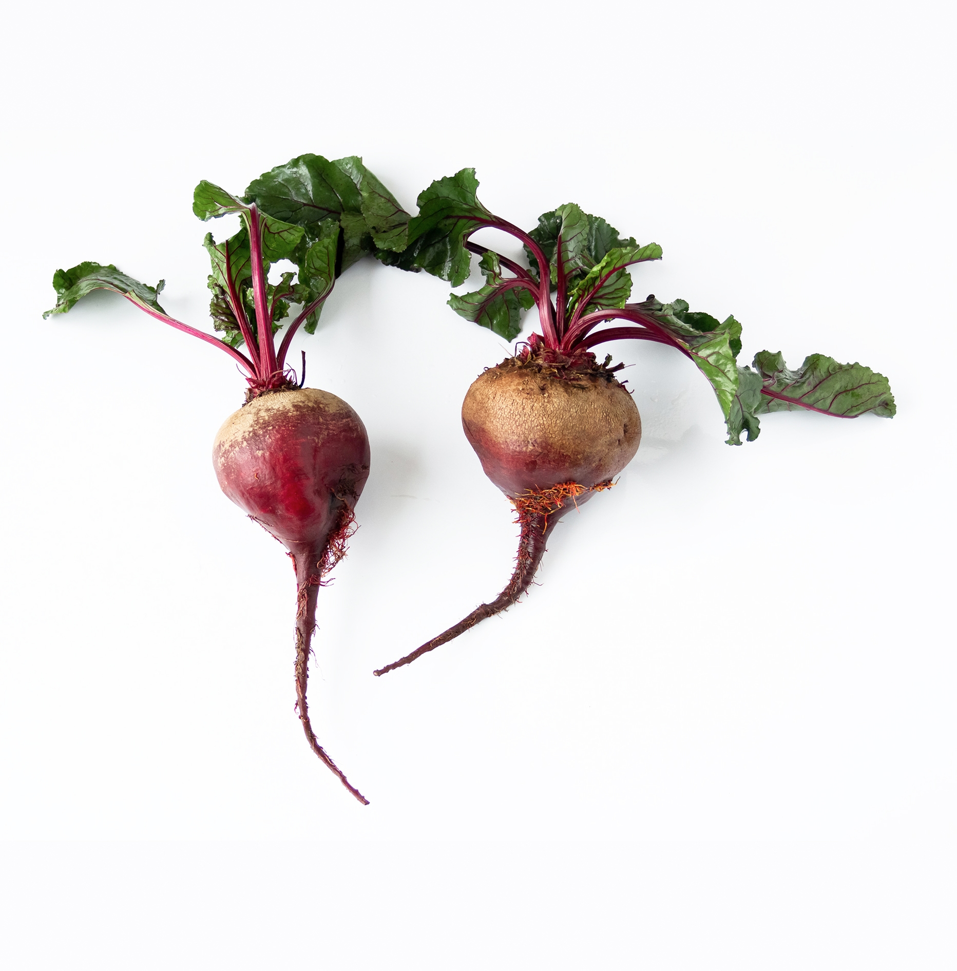 Ingredient: Red Beet Extract